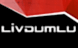 Molla Logo
